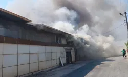 Antalya'da korku dolu anlar! Alevlerden kaçmak için camdan atladılar