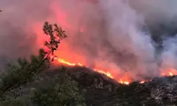 Antalya'da korkutan orman yangını! Müdahalede son durum ne?