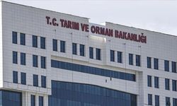 Bakanlık duyurdu! Bin 874 kişilik personel alımı başlıyor: İşte branş branş kontenjanlar