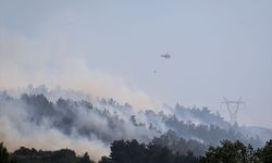 Balıkesir'de orman yangını! Ekipler havadan ve karadan müdahale ediyor