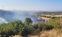 Balıkesir'de arazi yangını! Havadan ve karadan müdahaleyle kontrol altına alındı