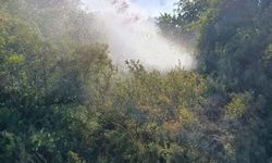 Balıkesir'de peş peşe çıkan 5 yangın için ekipler alarma geçti