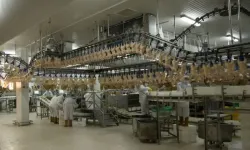 Beyaz et tesisinde korkutan olay! 34 işçi hastaneye kaldırıldı