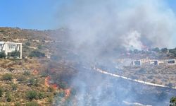 Bodrum'da makilik alanda yangın! Ekipler seferber oldu