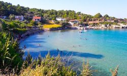 Ne Çeşme ne Foça! ESHOT’la gidiliyor: Zeytin ağaçlarının arasından iniliyor, denizi gören gözlerine inanamıyor