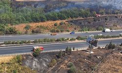 Buca Gökdere yangını kontrol altına alındı! Otoyol iki yönde açıldı