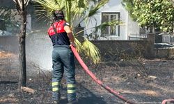 Çanakkale-İzmir yolunda korkutan yangın! Köpek son anda kurtarıldı