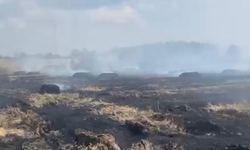Çanakkale'de korkutan yangın