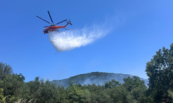 Çanakkale'de orman yangını! Ekiplerin müdahalesi sürüyor