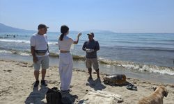 Aydın ve İzmir kıyılarında üzücü manzara! 3 caretta caretta ölü bulundu