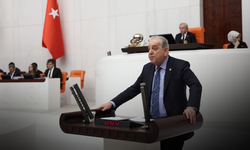 CHP'li Nalbantoğlu 'dinazor' benzetmesine tepki gösterdi! "Siyaset fikirlerle yapılır"