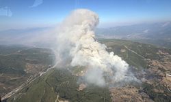 Muğla'da korkutan yangın!  5 uçak ve 11 helikopter havalandı