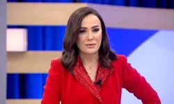 Didem Arslan Yılmaz kimdir? Kaç yaşında, nereli?