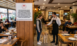 Evcil hayvan sahiplerine kötü haber! Restoran ve kafelere girişleri yasaklandı