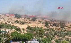 Foça'da korkutan yangın! Alevler yerleşim yerlerine doğru ilerledi