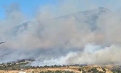 Foça'da orman yangını çıktı! Ekipler seferber oldu