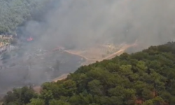 Göcek'ten alevler yükseliyor! Ekipler havadan ve karadan müdahale ediyor