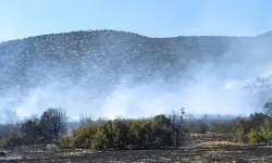 Isparta'da orman yangını kontrol altına alındı!