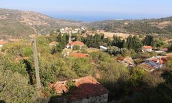 İzmir'in en eski köylerinden biri! Taş evleri, bakir koyları ve Akdeniz foklarıyla keşfedilmeyi bekliyor