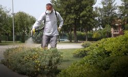 Karşıyaka’da sivrisineğe karşı seferberlik! Başkan Ünsal’dan vatandaşlara kritik uyarı
