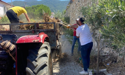 Menderes sahillerinde temizlik çalışmaları sürüyor