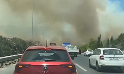 Manisa'daki orman yangını otoyola ulaştı! İzmir-İstanbul Otoyolu trafiğe kapatıldı