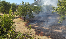 Muğla’da yangın alarmı! Bir bölgede daha alevler yükseldi