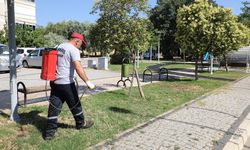 Menderes'teki tüm parklarda düzenli bakım! İlaçlama çalışmaları aralıksız sürüyor