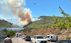 Mersin Aydıncık'ta orman yangını: 80 ev tahliye edildi, 325 personel görevde
