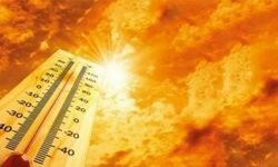 Meteoroloji alarm verdi! Sıcaklıklar 41 dereceyi bulacak: Muğla için kritik yangın uyarısı
