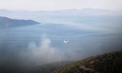 Muğla'da alevlerle mücadele gece boyunca sürdü!