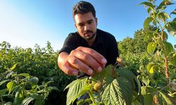 Önce ye sonra öde! Kaymakam olamadı kurduğu bahçeyle Türkiye'ye örnek oldu!
