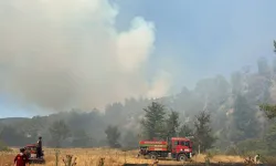 Orman yangını büyüyor! Bursa'da başlayan yangın Balıkesir'e ilerledi