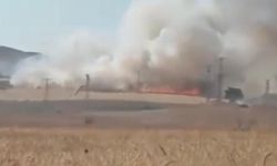 Otları yakmak isterken kendini yaktı! Komşuları ihbar etti