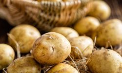 Yemekte yan yana, dolapta ayrı! Patates saklarken yapılan hata ömrünü kısaltıyor