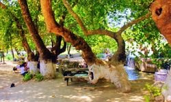 Piknik yeri aramaya son! İzmir'e sadece 50 dakika uzaklıkta: Hem park yeri var hem de serin suları