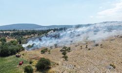 Son Dakika: Orman ve tarım alanında yangın çıktı: Müdahale sürüyor