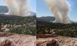 Son Dakika! Ormanlık alanda yangın çıktı: Havadan ve karadan müdahale başlatıldı