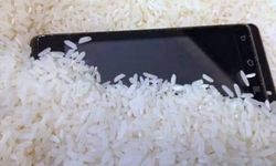 Pirinç kavanozuna sadece iki tane atın! Kurtlanmayı bitiren kökten çözüm: Mutfakta böceklenmeye son
