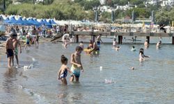 Uygun fiyatlı tatil vaadlerine dikkat! Tatil hayaliniz kabusa dönüşmesin: Sahte rezervasyon tuzağı büyüyor