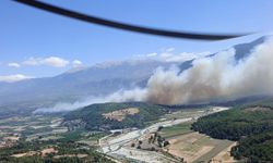 Son dakika! 160 personel seferber oldu: Muğla’daki yangın rüzgarın etkisiyle kaş sınırına ilerledi