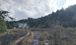 Bursa'da ormanlık alanda yangın! Havadan ve karadan müdahale