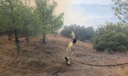Manisa'da orman yangını! 9 uçak ve 6 helikopter görevde