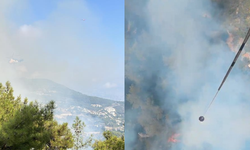 Antalya'nın iki ilçesinde aynı anda yangın başladı! Müdahale sürüyor