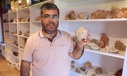 Ayağı taşa takıldı, hayatı değişti: 15 bin taşlık koleksiyon kurdu