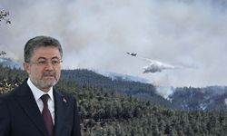 Son dakika: Bakan Yumaklı duyurdu! 3 ildeki orman yangını kontrol altında