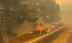 Gömeç ve Susurluk'ta yangın alarmı! Ekipler alevlere karşı nöbette