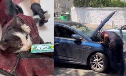 Bornova'da dikkat çeken kurtarma operasyonu: İtfaiye çıkaramadı, çekici çağrıldı