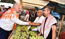 Bozalan incir festivali için geri sayım başladı