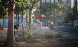 Buca'nın parkları baştan sona yenileniyor! Oyun alanları ve spor aletleri elden geçiyor
